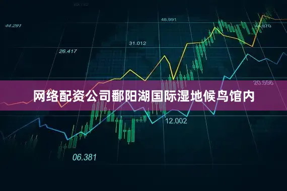 网络配资公司鄱阳湖国际湿地候鸟馆内