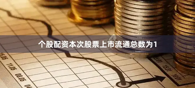 个股配资本次股票上市流通总数为1
